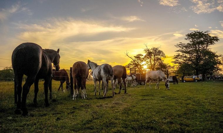 Foto: revistalagunas.com