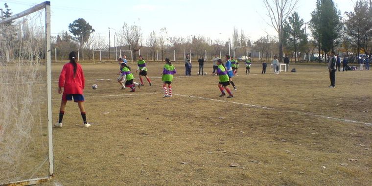 239573.jpg