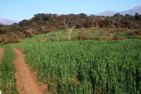 Un pueblo para conocer por dentro. Un pueblo para conocer por dentro.