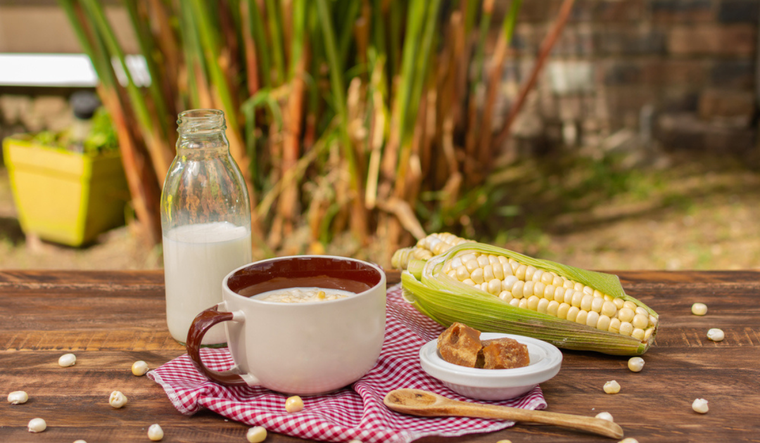 Mazamorra casera Argentina: historia en cada cucharada Foto: Shutterstock