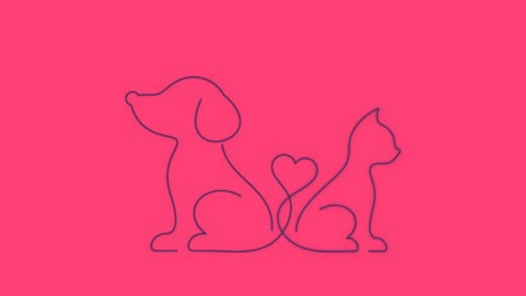 Test de personalidad