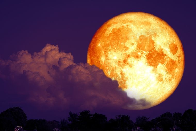 Este fenómeno es conocido como Luna de esturión Foto: Shutterstock