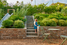 La clave para transformar este patio en un patio para niños ha sido aprovechar bien el espacio del desnivel para convertirlo en un jardín con senderos y además, un juego. Foto: sunset.com