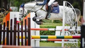 el club hipico mendoza recibe una nueva edicion del concurso vendimia