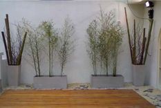 Los patios secos no requieren de mucha agua. Foto: Pinterest