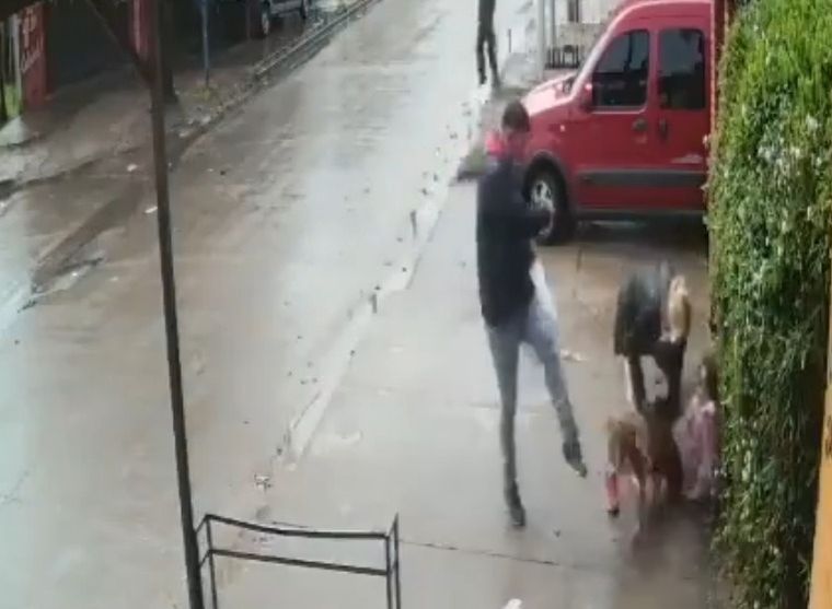 A las patadas Un hombre arremetió contra el can a patadas, pero el animal no soltaba a su presa.