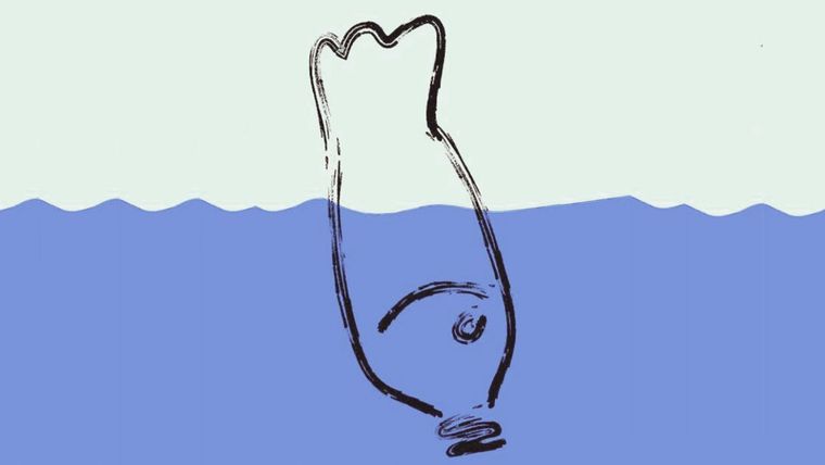 Test de personalidad