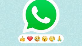 Cómo es la versión plus de WhatsApp. Cómo es la versión plus de WhatsApp.