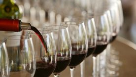 Se trata de vinos franceses. Foto: Archivo MDZ