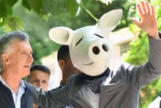como y por que el chancho blanco se convirtio en protagonista de las elecciones 2021