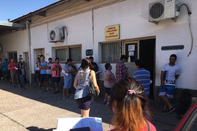 MDZol | Foto: Lector