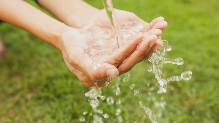 Las repercusiones de la contaminación del agua van más allá del impacto ambiental. Foto: MDZ