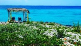Punta Perdices, una playa que parece extraída del Caribe. Punta Perdices, una playa que parece extraída del Caribe.