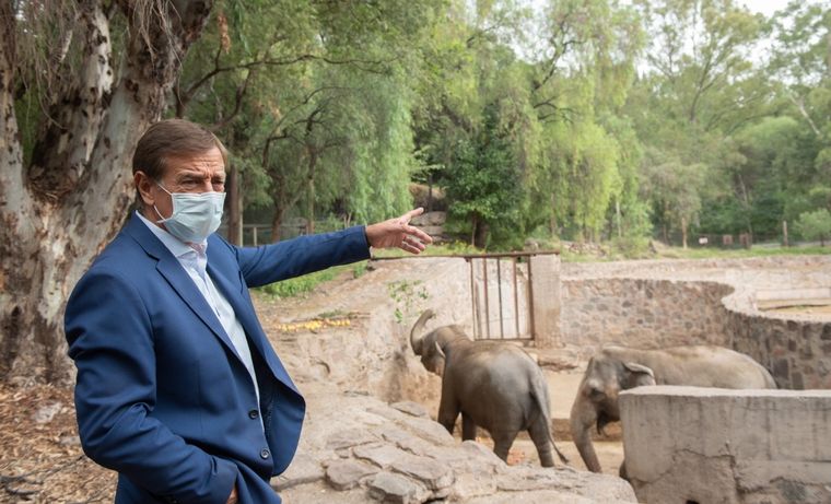 El gobernador Rodolfo Suarez, durante una visita al exzoológico. Foto: Prensa de Gobierno de Mendoza