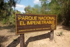 El animal fue visto en los alrededores del Parque Nacional. Foto: Parques Nacionales