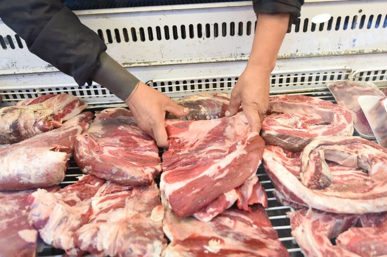 La carne comenzó a bajar de precio Foto: Maximiliano Ríos/MDZ
