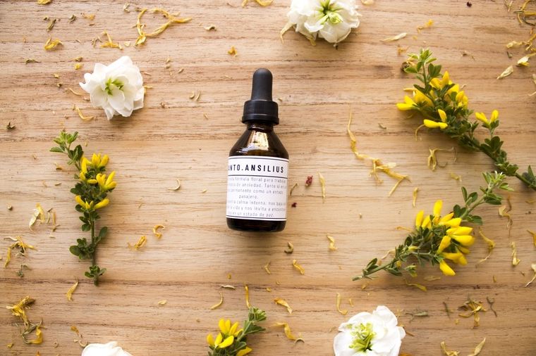 Elegí tus flores de acuerdo a tu signo.