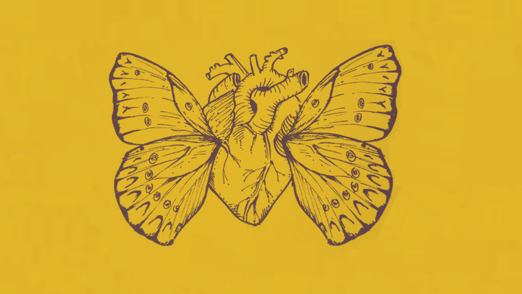 test de personalidad test de personalidad