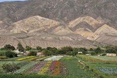 Dos pueblos argentinos fueron elegidos entre los mejores del mundo por la ONU Turismo, un reconocimiento a su belleza y compromiso con la sustentabilidad.