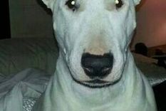 la golpeo, la ahorco y los vecinos lo escracharon