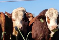 Agro y ganadería en alerta