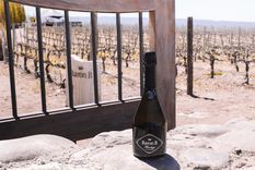 Baron B Heritage: una delicia. Foto: Gentileza