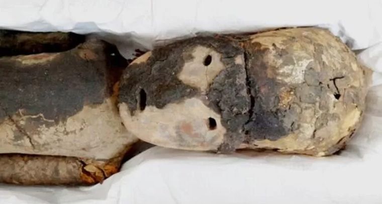 El ADN recuperado de una momia chilena permitió reconstruir un episodio ocurrido hace unos 500 años.