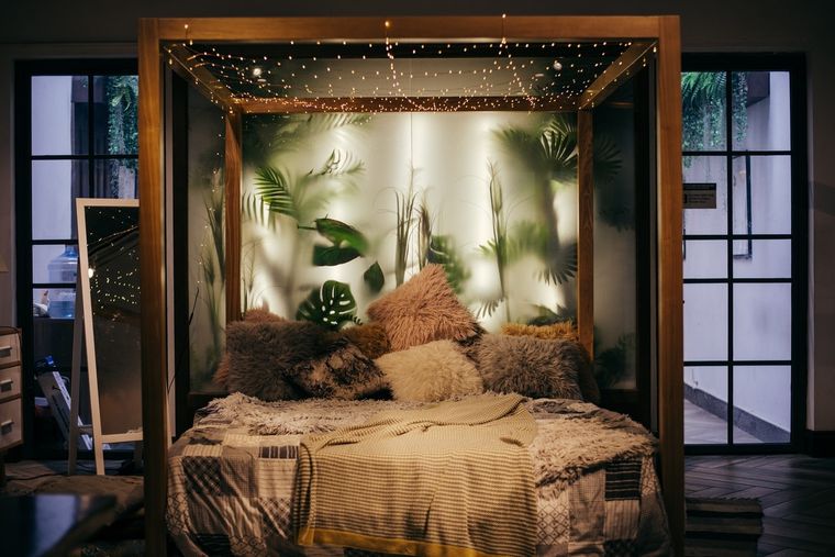 Plantas Estas son las especies ideales para el dormitorio Foto: Pexels