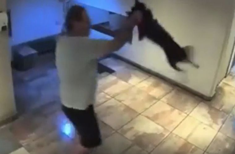 El atacante fue denunciado por una vecina y está detenido por agredir al perro.