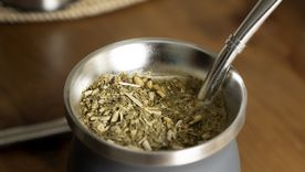 Argentina es el máximo productor de yerba mate del mundo. Foto: Freepik Argentina es el máximo productor de yerba mate del mundo. Foto: Freepik