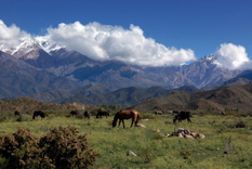 La Pampa del Durazno está en el distrito Los Chacayes.