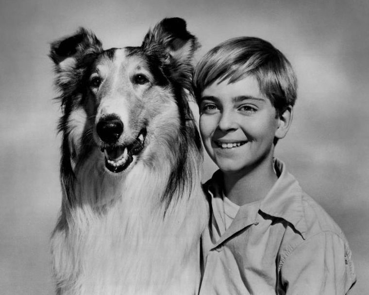 Foto publicitaria de la serie de TV, con Tommy Rettig. Ca. 1955. Fuente: Wikipedia. Foto publicitaria de la serie de TV, con Tommy Rettig. Ca. 1955. Fuente: Wikipedia.
