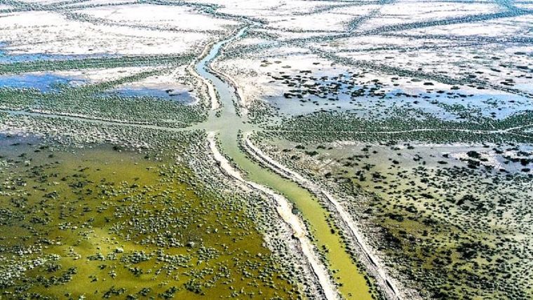 El cambio climático está disminuyendo el suministro de agua o haciendo que las lluvias sean cada vez más erráticas. Foto: ASAAD NIAZI/AFP/GETTY IMAGES