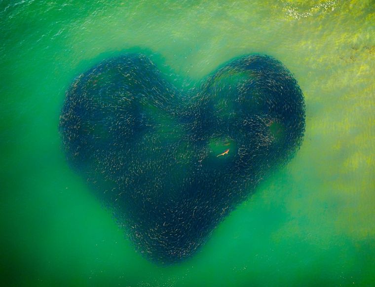 Ganador 2020, Love Heart of Naturede Jim Picôt Foto: https://droneawards.photo/