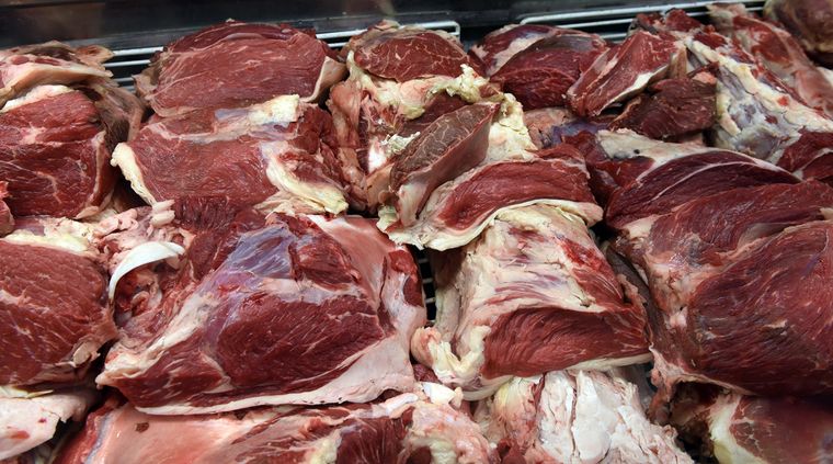 Foto: ALF PONCE MERCADO / MDZ