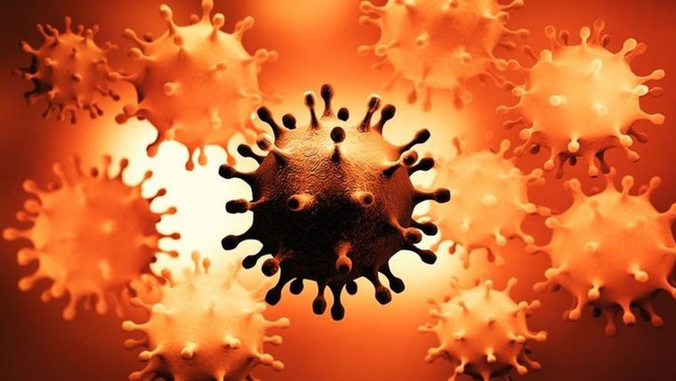 Algunos virus consiguen integrarse y esconderse en nuestro genoma. Foto: GETTY IMAGES