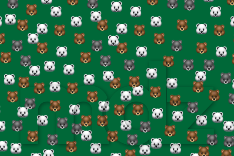 ACERTIJO VISUAL ACERTIJO VISUAL, RETO VISUAL, MAPACHE Foto: MDZ ONLINE