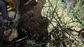 El hombre sufrio una caida en el Cerro Feliz Cumpleaños en Cacheuta y tuvo que ser rescatado. El hombre sufrio una caida en el Cerro Feliz Cumpleaños en Cacheuta y tuvo que ser rescatado.
