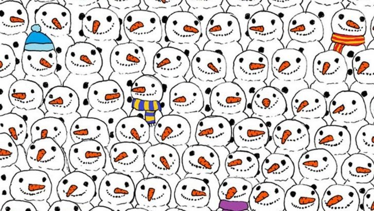 Acertijo visual, reto visual, oso panda