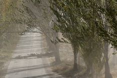 Se espera que el viento Zonda baje a la tarde.&nbsp;