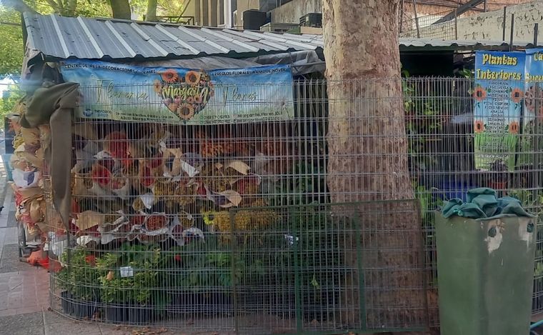 Este polémico puesto de flores, que ya ha expandido el ramo para ofrecer baratelas importadas, crece en una de las zonas más transitadas de la Ciudad de Mendoza. Es un feísmo inusual y descomunal. Este polémico puesto de flores, que ya ha expandido el ramo para ofrecer baratelas importadas, crece en una de las zonas más transitadas de la Ciudad de Mendoza. Es un feísmo inusual y descomunal.