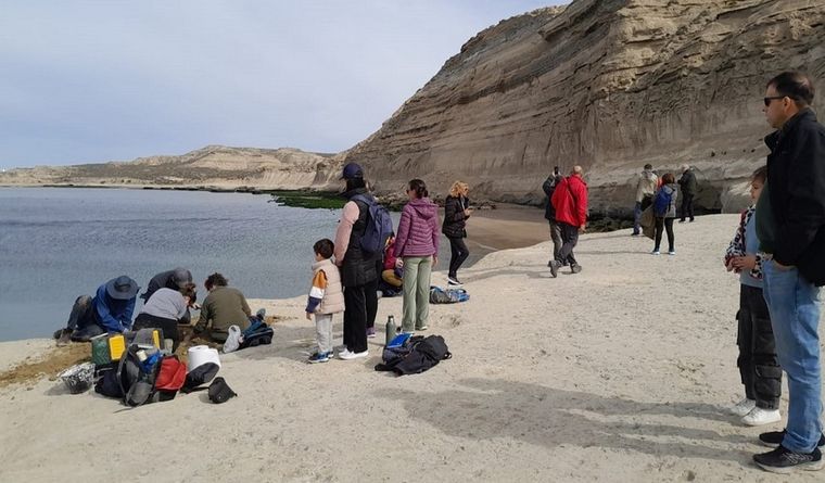 Especialistas del CENPAT rescató un pez fósil que se encontraba en una restinga ubicada en la primera bajada al mar de Puerto Pirámides. Foto: CENPAT - CONICET