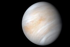 Foto: businessinsider