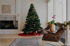 Este año hay que colocar el árbol en el sector sur y noreste para atraer las buenas energías. Foto: Unsplash.