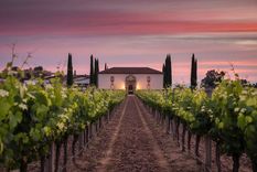 Viña Santa Rita, en Chile. Viña Santa Rita, en Chile.