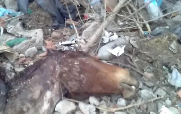 Foto: elchorrillero.com