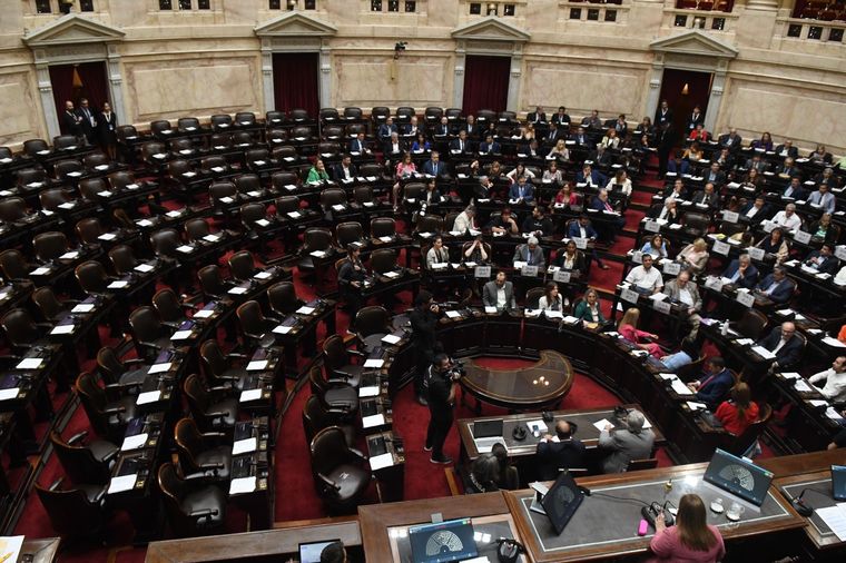 La modificación de la ley fue sancionada esta madrugada en una acalorada y maratónica sesión Foto: Diputados