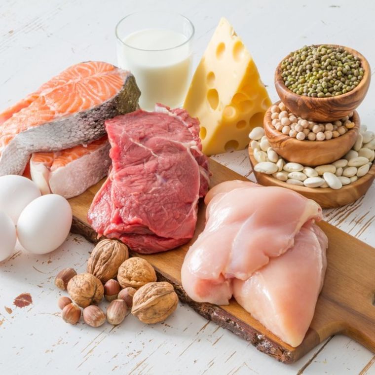 Estos alimentos son los que tienen más proteínas Foto: Shutterstock