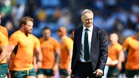 Joe Schmidt se lamentó tras la derrota antes Los Pumas. Joe Schmidt se lamentó tras la derrota antes Los Pumas.