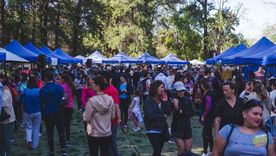 Mendoza Green Market celebra 10 años Foto: Mendoza Green Market